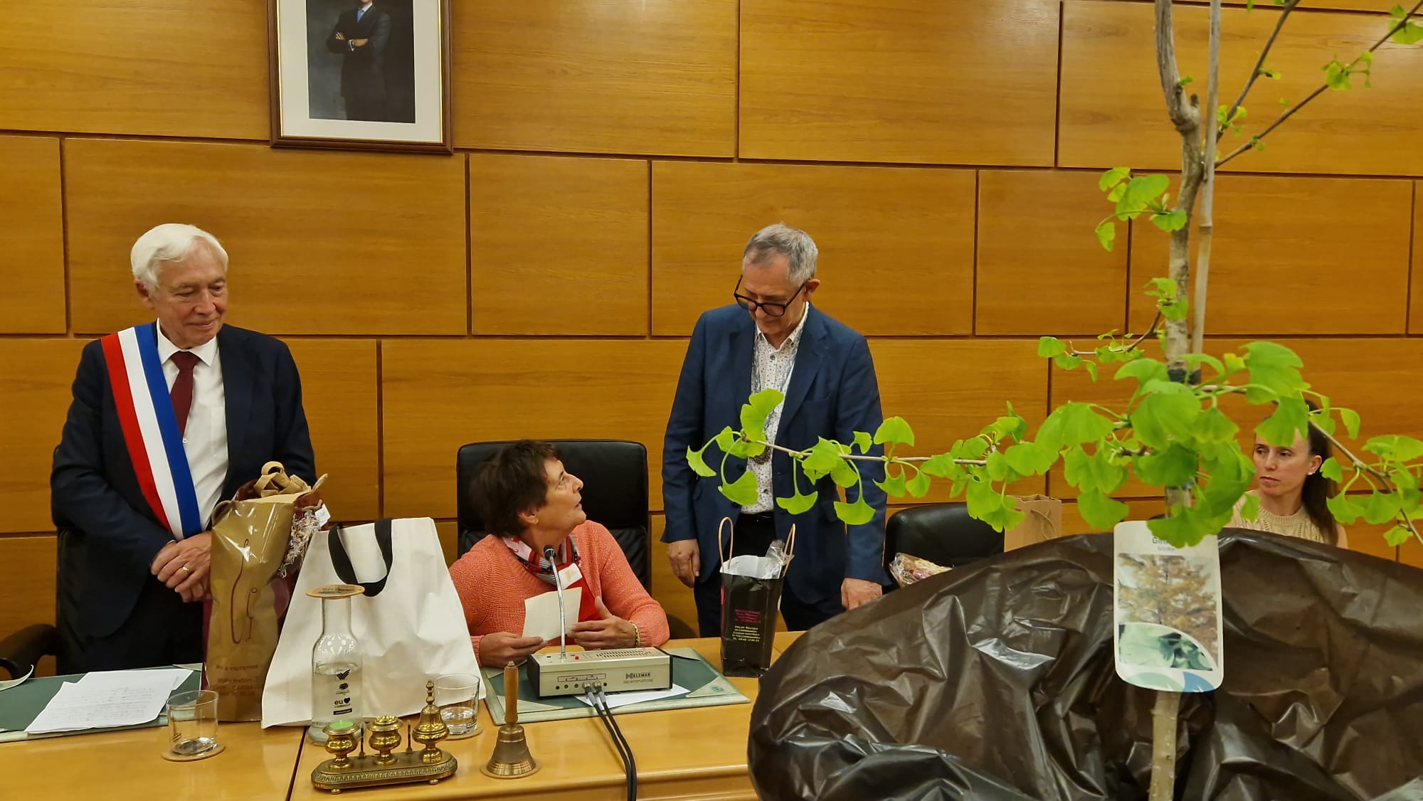 O xinkgo biloba foi un agasallo de LIsle Jourdain a Carballo
