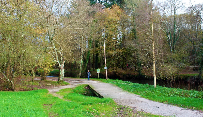 Un dos investimentos previstos é a mellora do firme no Paseo do Anllóns