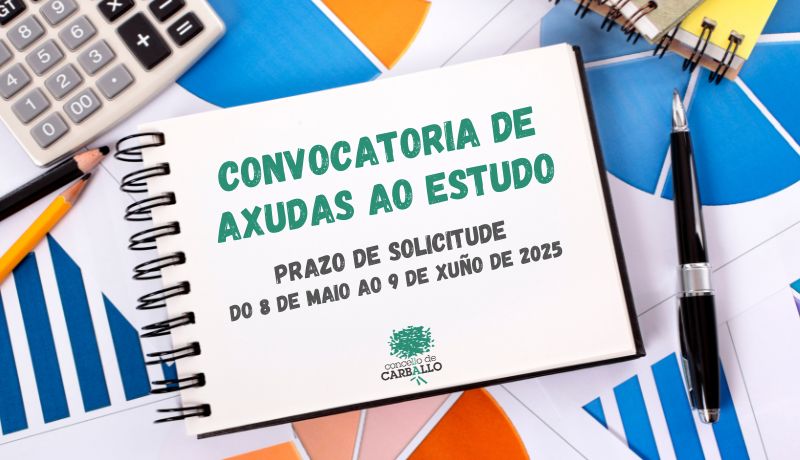 convocatoria axudas ao estudo 2025