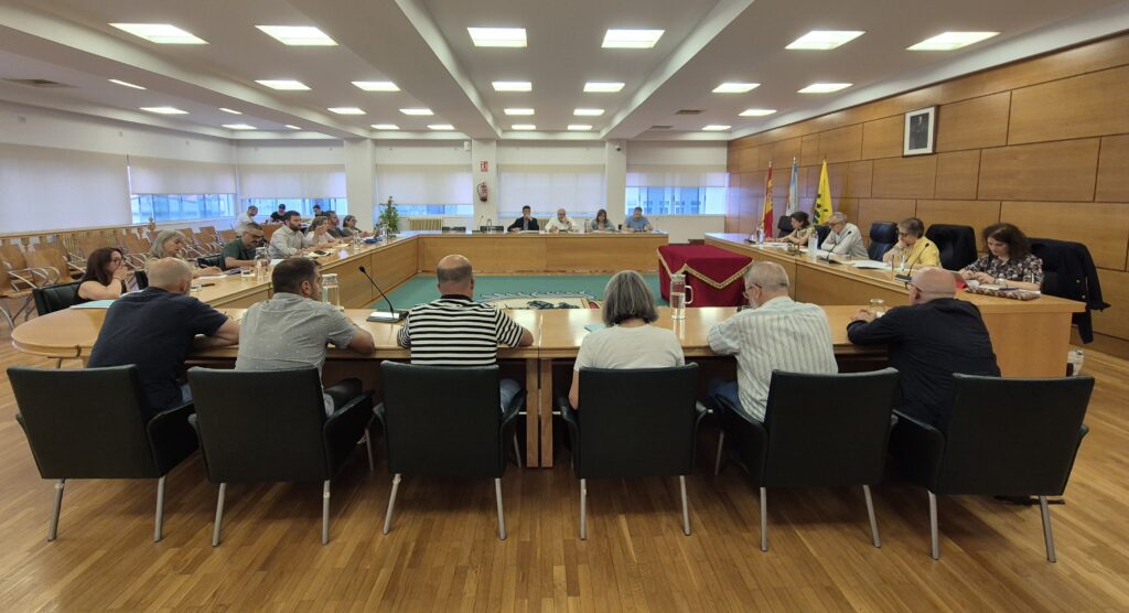 Pleno xuño 2025