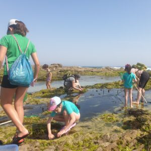 Explorando as pozas das mareas en Razo