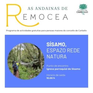 andainas remocea sísamo
