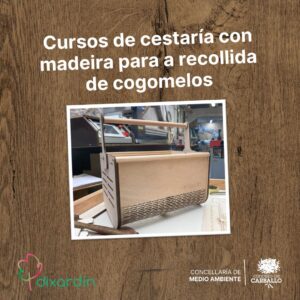 Cursos de cestaría con madeira para a recollida de cogomelos