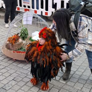 Desfile e concurso de Entroido de 2025