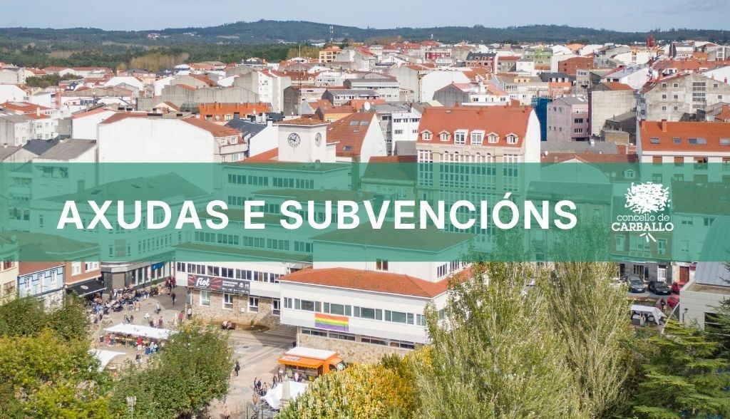 axudas e subvencions portada novas