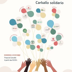 II Feirón en rede Carballo Solidario, o escaparate das entidades sociais