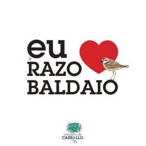 Paleoecoloxía para todos os públicos con investigadores/as da UDC