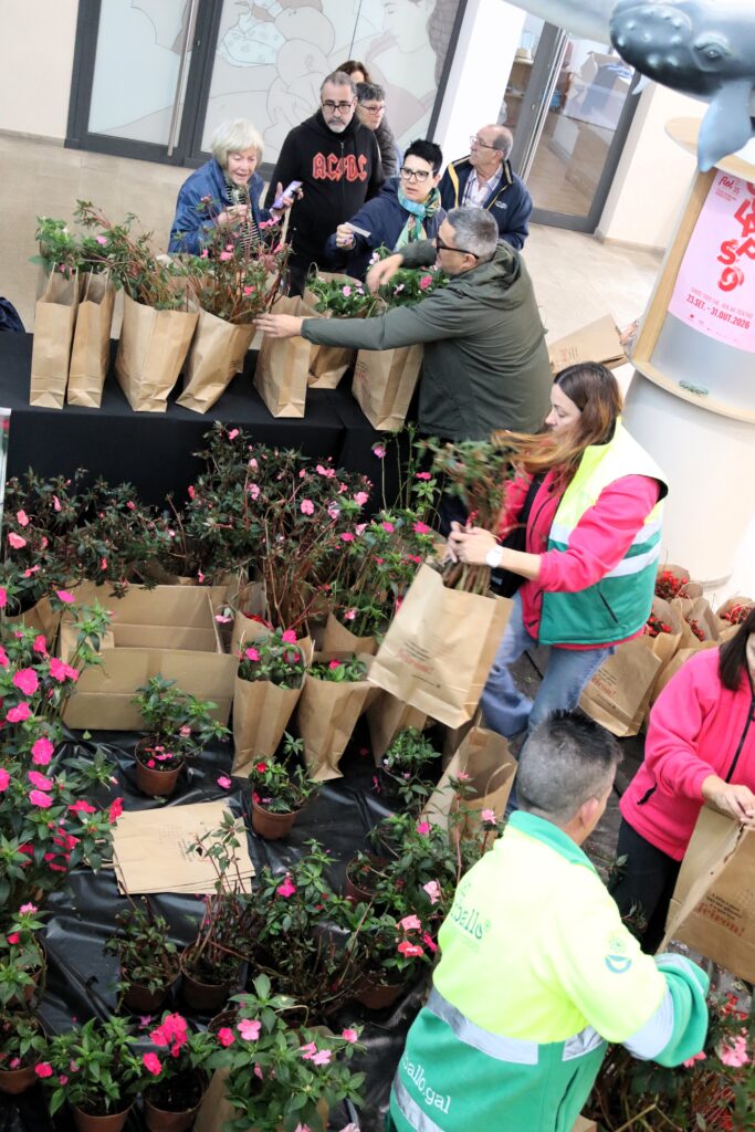 Reparto flores mercado